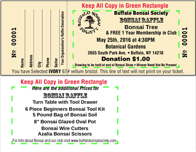 Raffle Tickets, Black - Designer, Two Sided