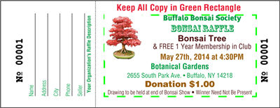 Raffle Tickets, Color - Designer